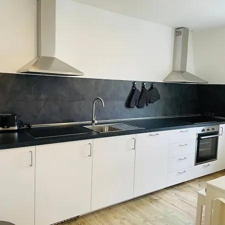 Cozy Apartment/wlan In Neustadt I. Sachsen